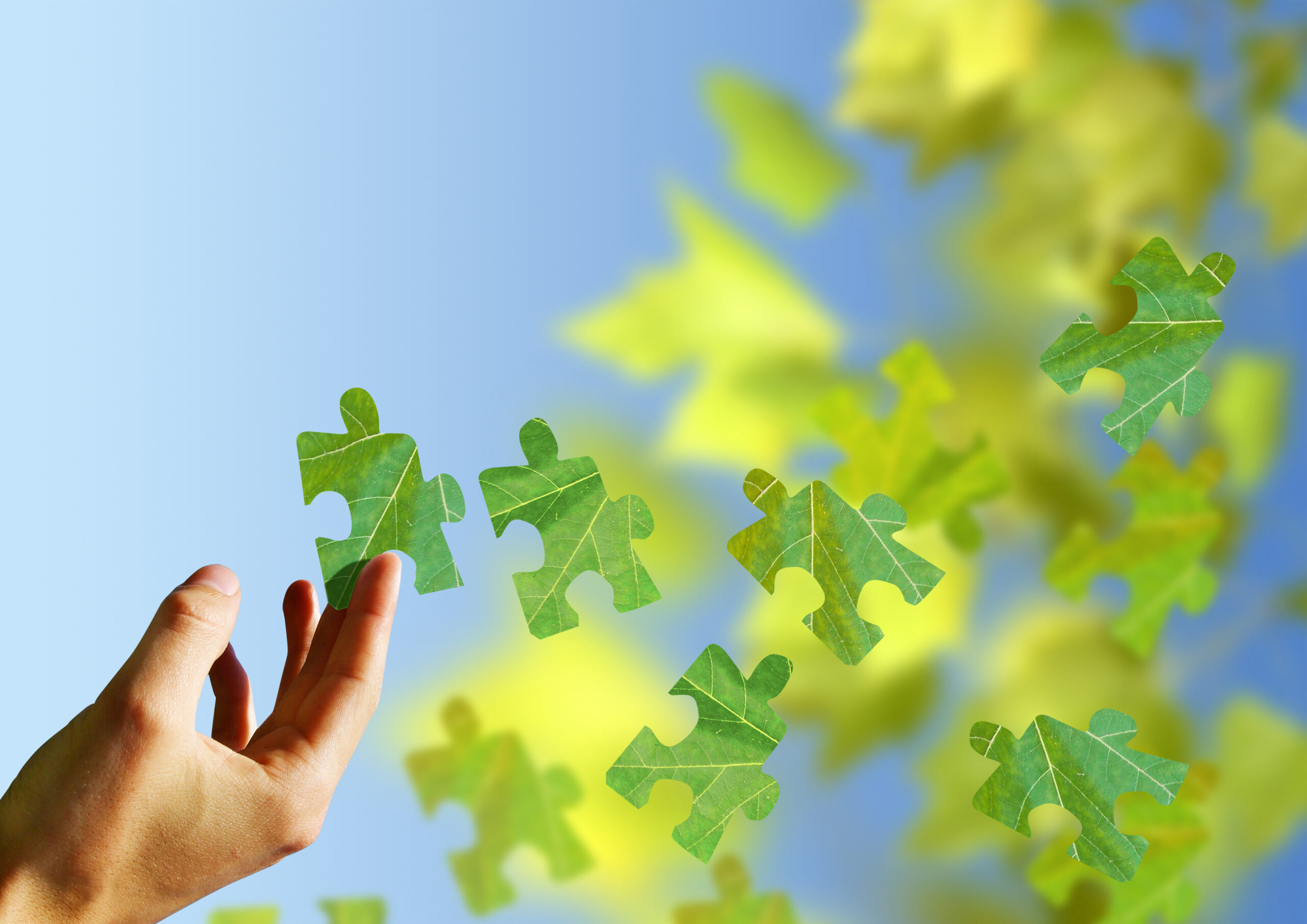 ♻️ Nachhaltigkeit – ESG 🌱
